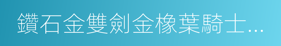 鑽石金雙劍金橡葉騎士勳章的同義詞