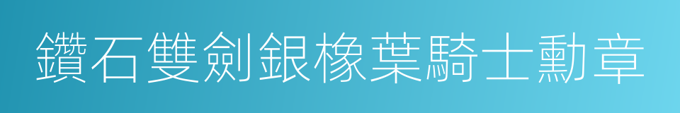 鑽石雙劍銀橡葉騎士勳章的同義詞