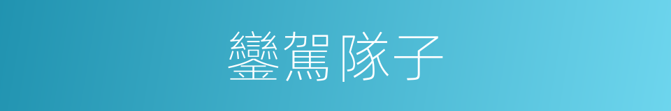 鑾駕隊子的意思
