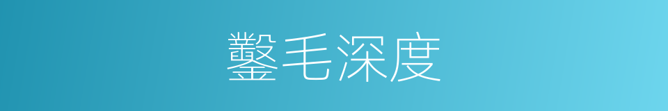 鑿毛深度的同義詞
