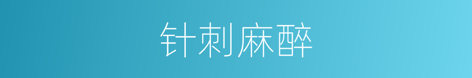 针刺麻醉的意思