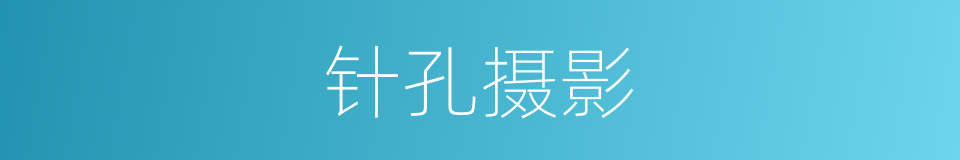 针孔摄影的同义词