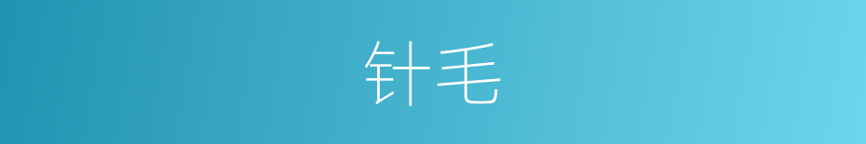 针毛的意思