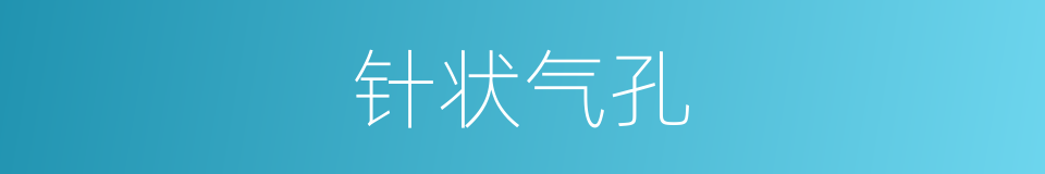 针状气孔的同义词