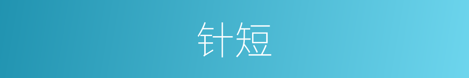 针短的同义词