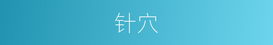 针穴的同义词