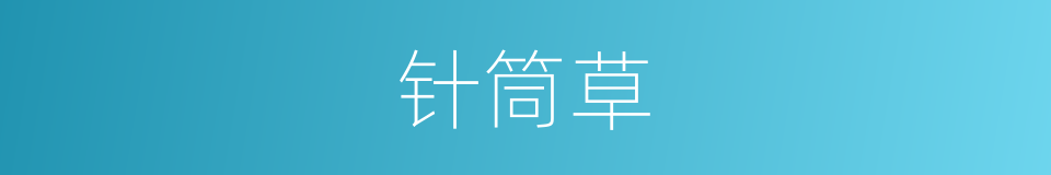 针筒草的同义词
