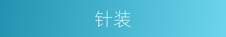 针装的同义词