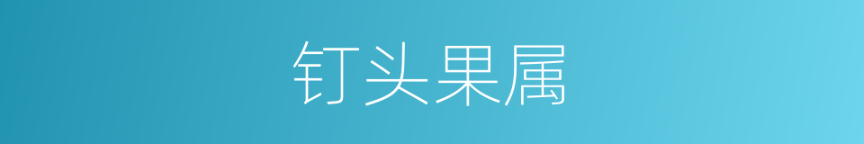 钉头果属的同义词