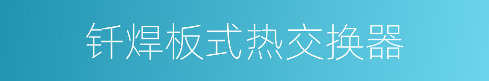 钎焊板式热交换器的同义词