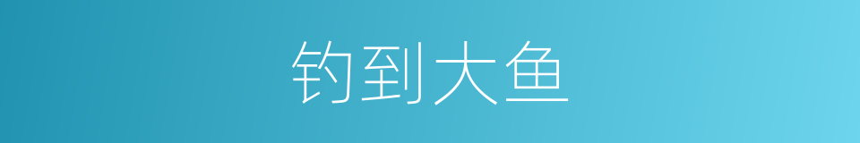 钓到大鱼的同义词
