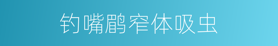 钓嘴鹛窄体吸虫的同义词