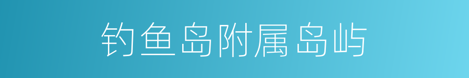钓鱼岛附属岛屿的同义词