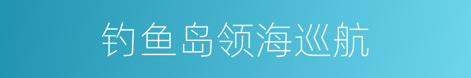 钓鱼岛领海巡航的同义词