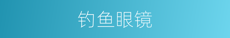 钓鱼眼镜的同义词