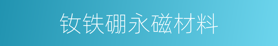 钕铁硼永磁材料的同义词