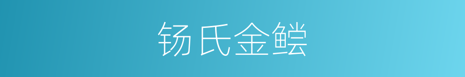 钖氏金鲿的同义词
