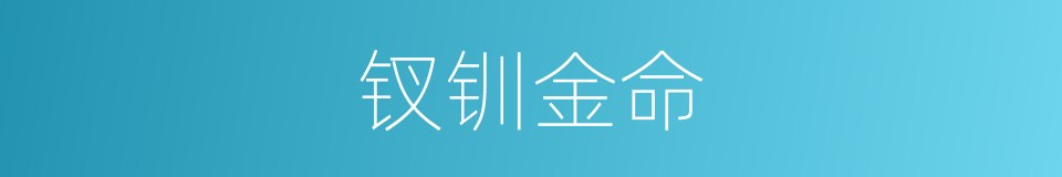 钗钏金命的同义词