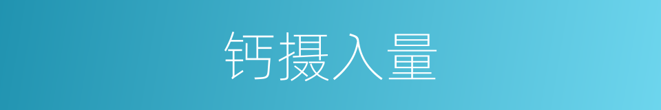 钙摄入量的同义词