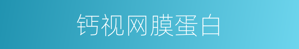 钙视网膜蛋白的同义词