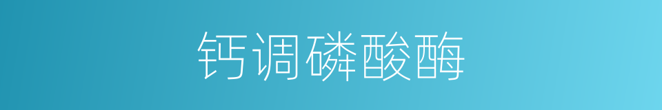 钙调磷酸酶的同义词
