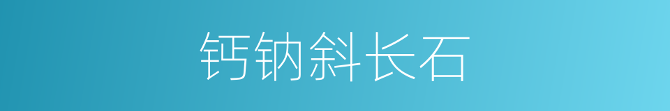 钙钠斜长石的同义词