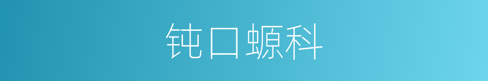 钝口螈科的同义词