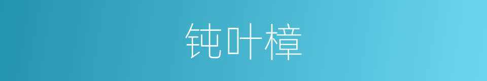 钝叶樟的同义词