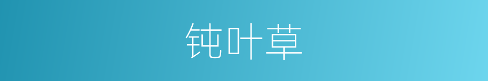 钝叶草的同义词