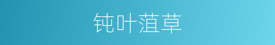 钝叶菹草的同义词