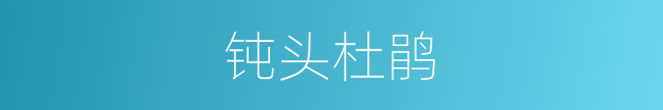 钝头杜鹃的同义词