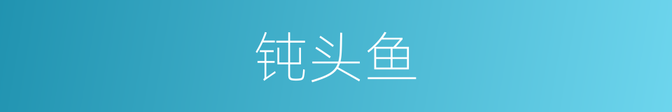 钝头鱼的同义词