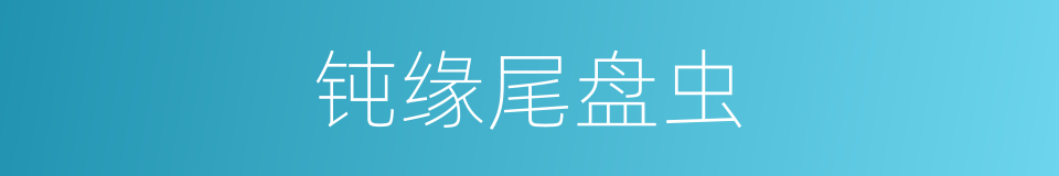 钝缘尾盘虫的同义词