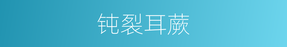 钝裂耳蕨的同义词
