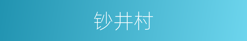 钞井村的同义词