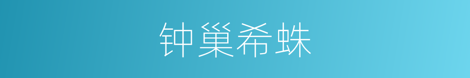 钟巢希蛛的同义词
