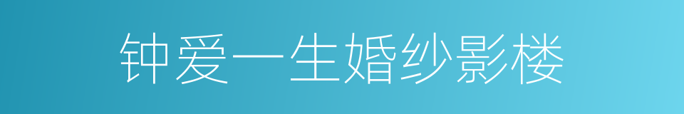 钟爱一生婚纱影楼的同义词