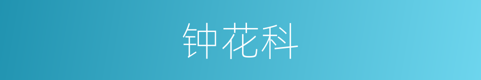 钟花科的同义词