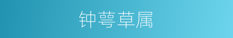钟萼草属的同义词