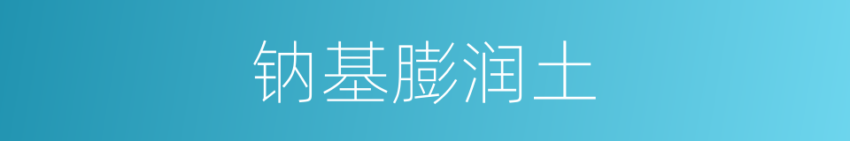 钠基膨润土的同义词