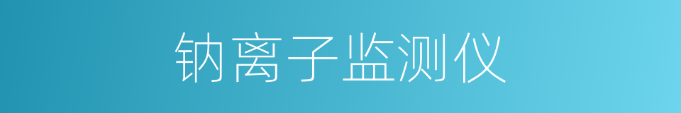钠离子监测仪的同义词