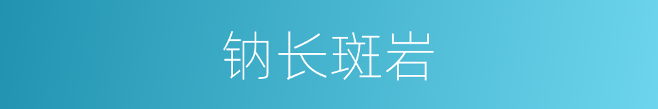 钠长斑岩的同义词
