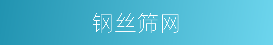 钢丝筛网的同义词