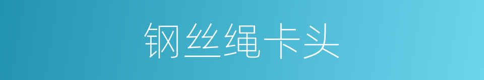 钢丝绳卡头的同义词