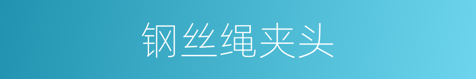 钢丝绳夹头的同义词