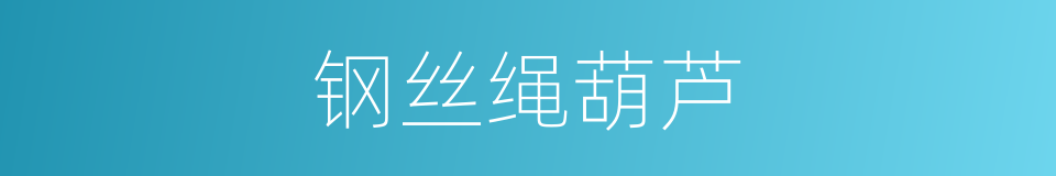 钢丝绳葫芦的同义词
