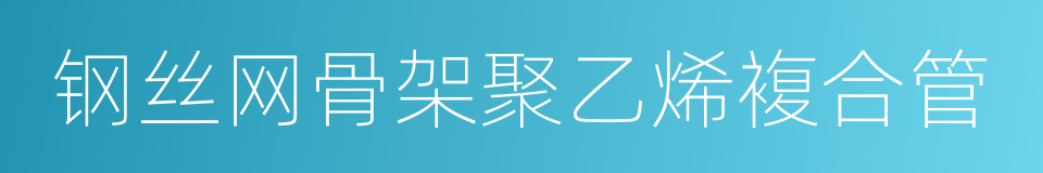 钢丝网骨架聚乙烯複合管的同义词