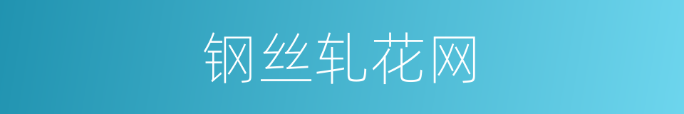 钢丝轧花网的同义词