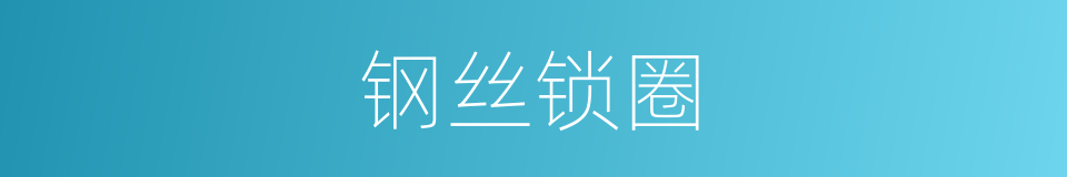 钢丝锁圈的同义词