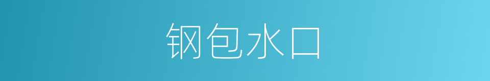 钢包水口的同义词